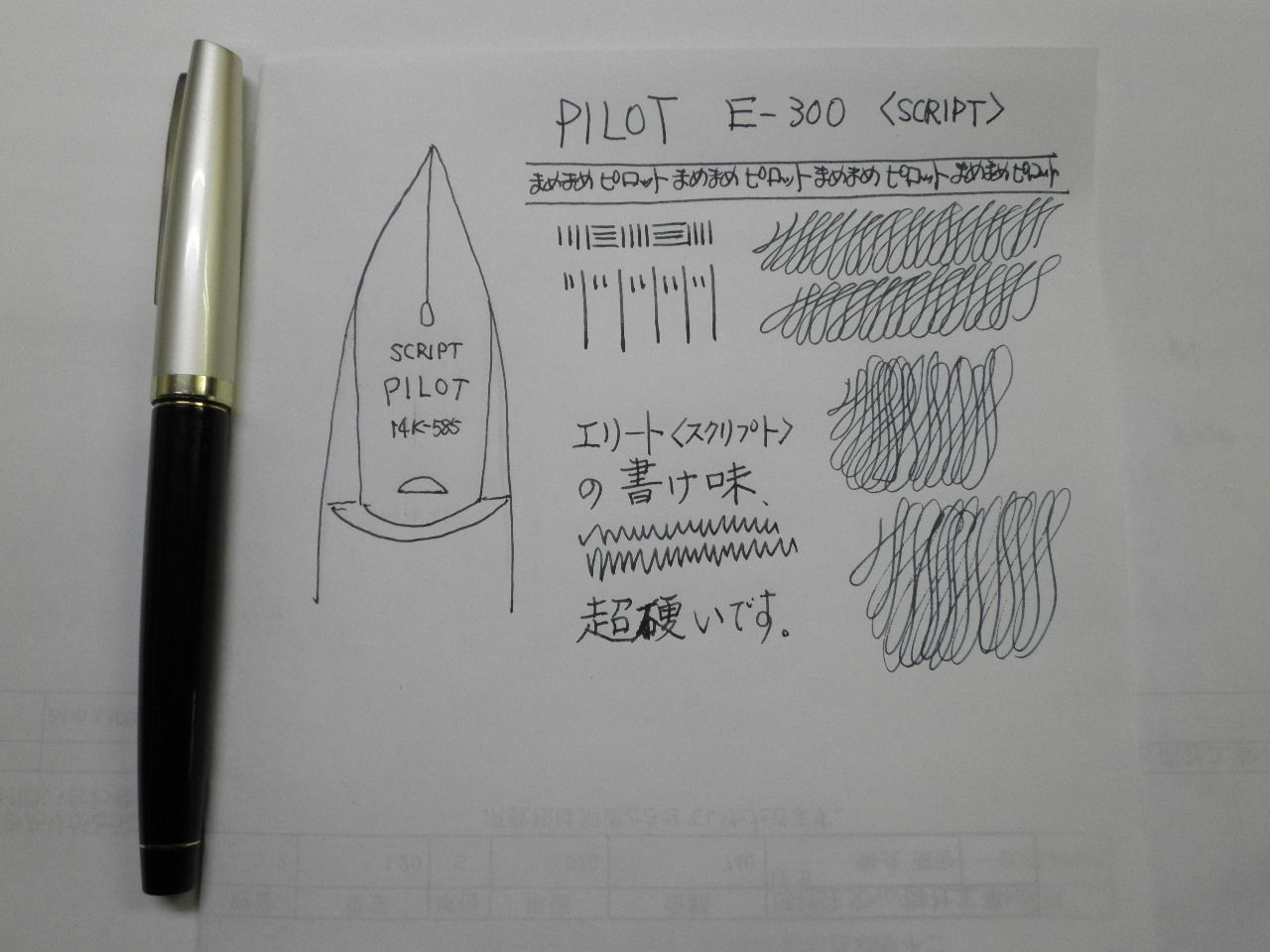 美品’70年頃◆パイロット E-300 14K-585 ＜SCRIPT＞脚本用 PILOT E-300 14K-585 <SCRIPT> : 万年筆おやじの備忘録