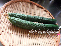 昔きゅうり