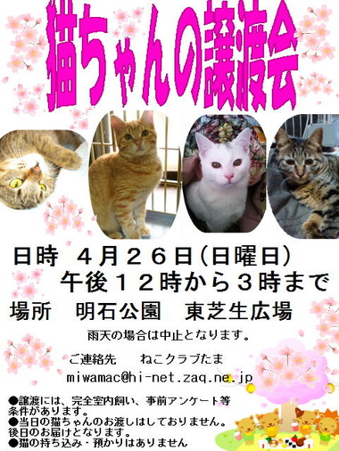 4月26日譲渡会 PCアドレス