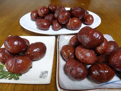 o0500037513450598421