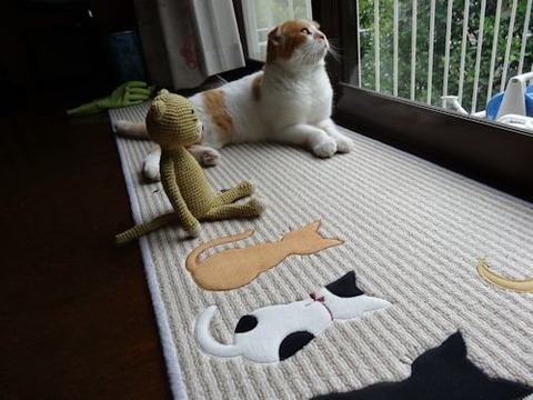 DSC04877_20170630143348117