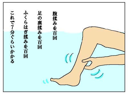 猫とガーデニング 昨日の常識は今日の非常識 猫とガーデニング 昨日の常識は今日の非常識