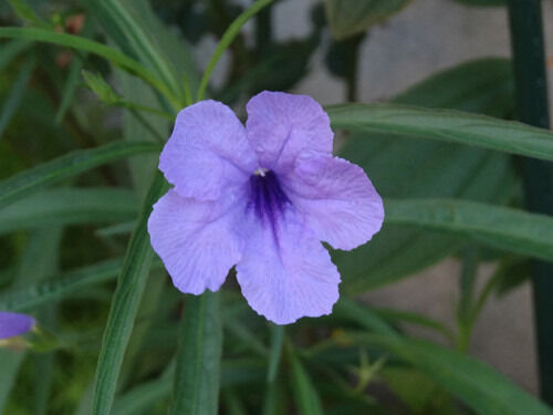 o0500037514002390170