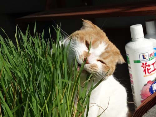 o0500037513658276364