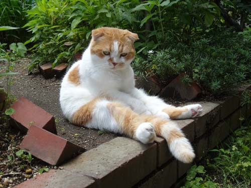 o0500037514202988170