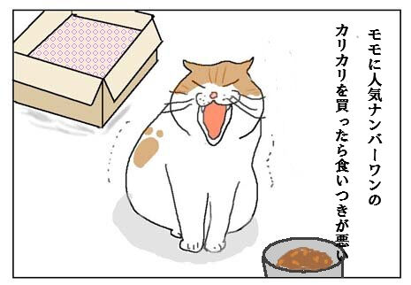 neko777jpg