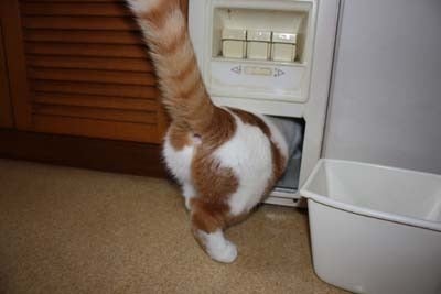 o0400026712811257685