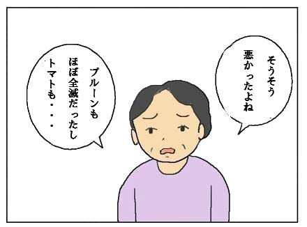 ku3