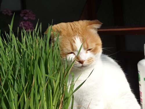 o0500037513658276365