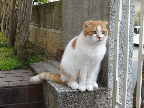 o0500037513901561015