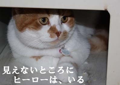 o0397028312811257684