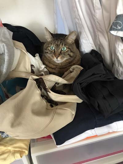 o0400053414006797962