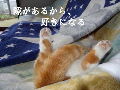 o0400030012790501189