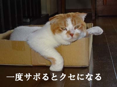 o0400030012795165619