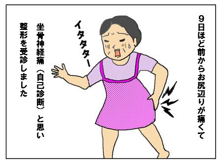 猫とガーデニング お尻が痛い 猫とガーデニング お尻が痛い