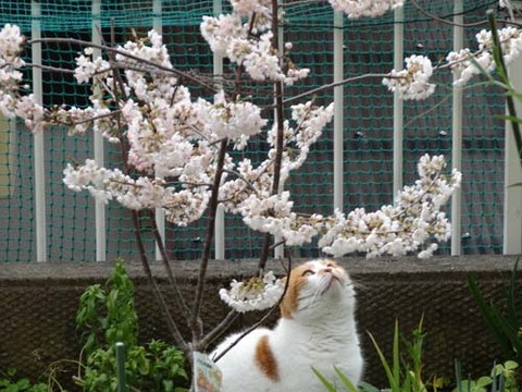 002_20150319141825367