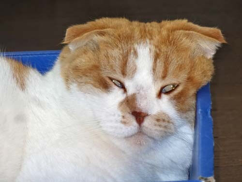 o0500037513660071717