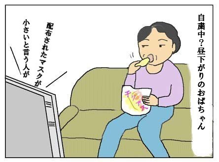 猫とガーデニング 批判ばかりする嫁