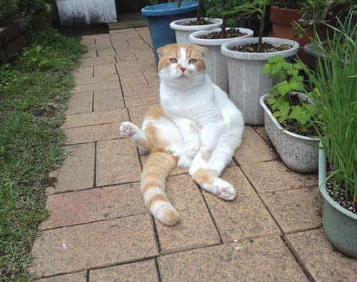 o0500039614202988168