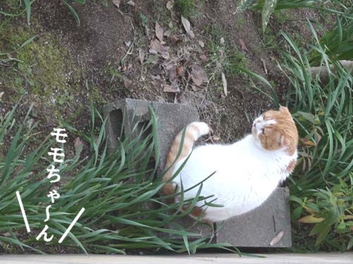 o0500037514157825110