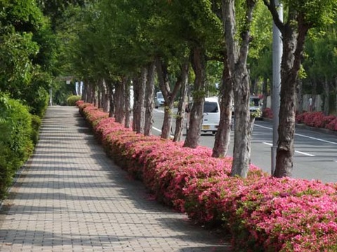 026_20150528150418f4f