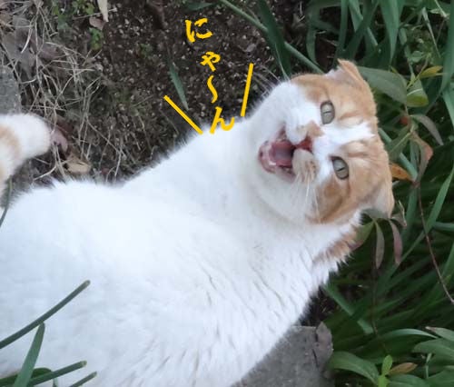 o0500042614157825111