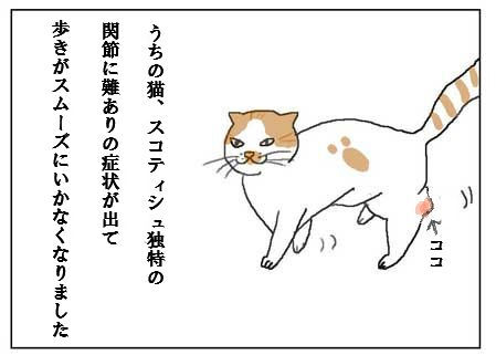 猫とガーデニング 藁にもすがる思いで試してみた 猫とガーデニング 藁にもすがる思いで試してみた