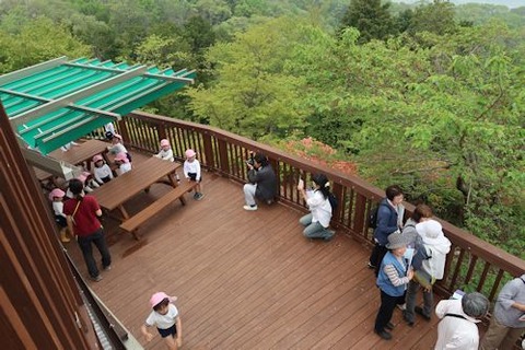 IMG_8295_201904251629175a0