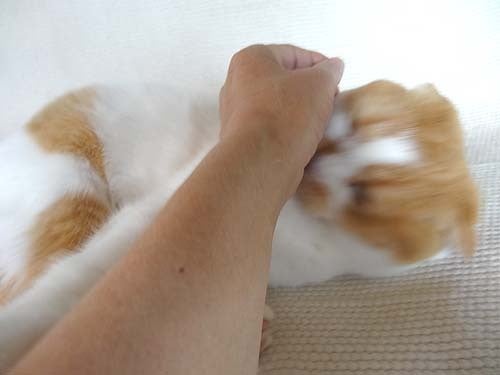 o0500037513684705507