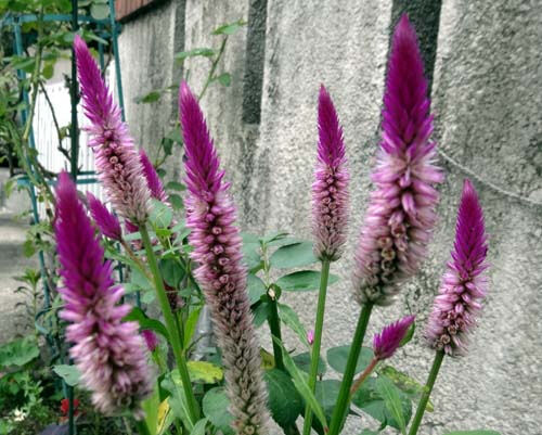 o0500040114266759601