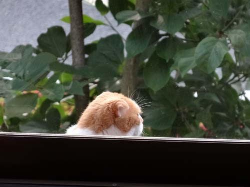 o0500037513956522343