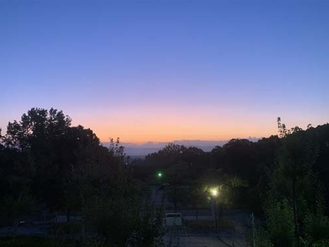 IMG_3031