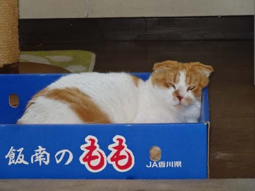 o0500037513660071718