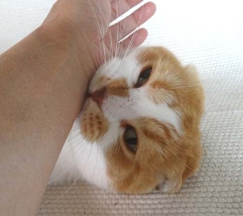 o0500044413684705508