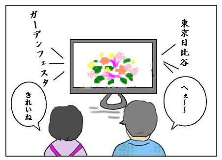 o0452032614224761678