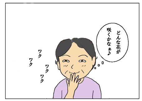 心待ちにしていた花の開花 : 猫とガーデニング