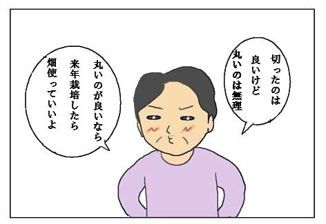 amido2