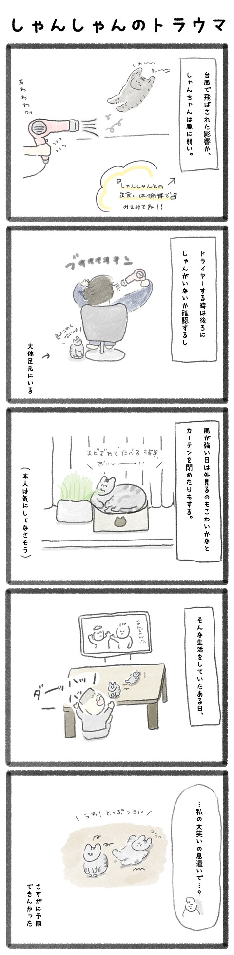 torauma-b