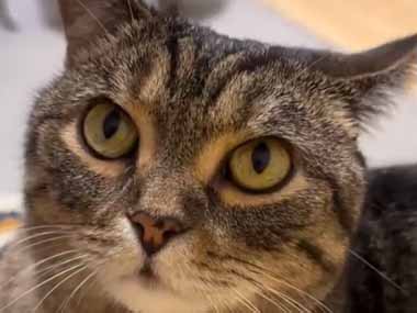 私が隣にいるのにカレシが冷たい。手を触ってもそっけない → 大丈夫、ボクがいるよ…