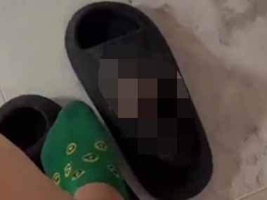 子ネコがこっちを見上げていた。そんな目で見つめられたら、もう無理だ！ → サンダルは諦めます…