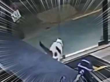 ネコが通りで犬に襲われていた。仲間に何をするだァ～ッ!  → 勇敢なヒーローの姿を防犯カメラが捉えた…