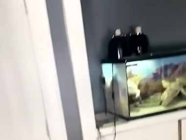 うちには猫とトカゲがいる。お前のモノは俺のモノ♪ → 猫はこうする…