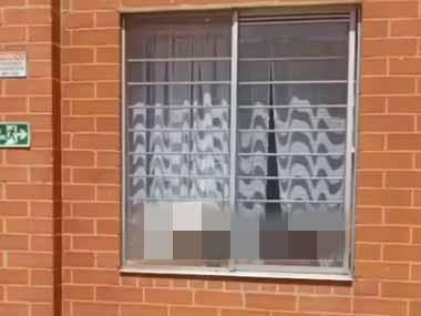 ネコはたまに日光浴をする生き物だ。びた～ん♪ → 令和の猫はこうします…