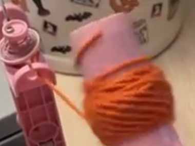 【ネコ】 毛糸の自動巻き取り器が動いていた。じ～・・・ → うちの猫たちはこうなった…