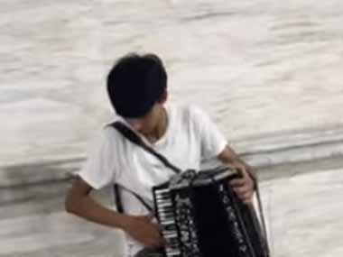 【ネコ】 路上ライブでアコーディオンを演奏していた。特等席ニャ♪ → 毛玉の観客はここにいます…