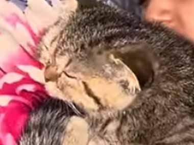 うちのネコが息子にくっついて寝ていた。ちょっと離してみる → こうなります…