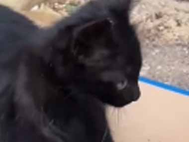 パパとママが「べったり」くっついてた。そこに子供がやってくる → こうしちゃう…