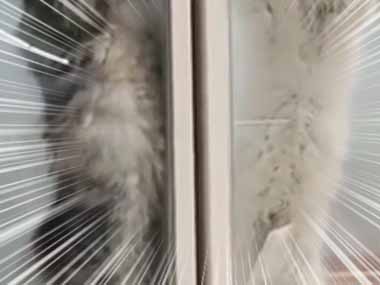 隣人の騒音に我慢の限界だ。毎日うるさいんじゃ！ そっちこそ！ → マンションでご近所トラブルです…