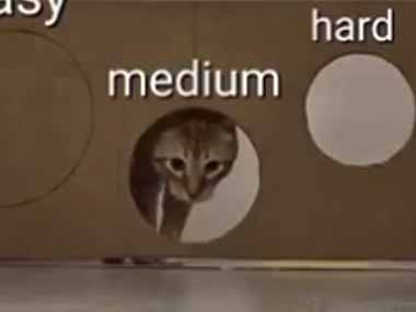 【猫】 ダンボールに色々な大きさの穴を開ける。そこを猫が通ったら塞いでみた → 賢い猫はこうします…