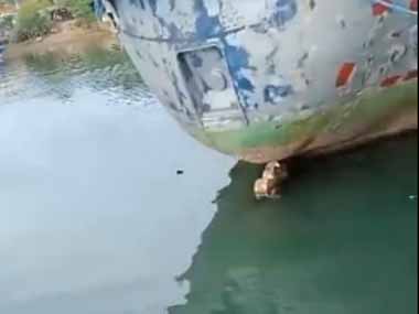 港に泊まっている船の下で１匹の犬が立ち往生していた。上から助けることはできない → 海の男が救出に向かった…